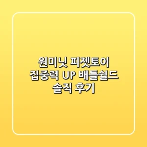 원미닛 피젯토이: 집중력 UP! 배틀쉴드 솔직 후기