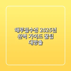 해루질수경: 2025년 완벽 가이드 | 꿀팁 대방출!