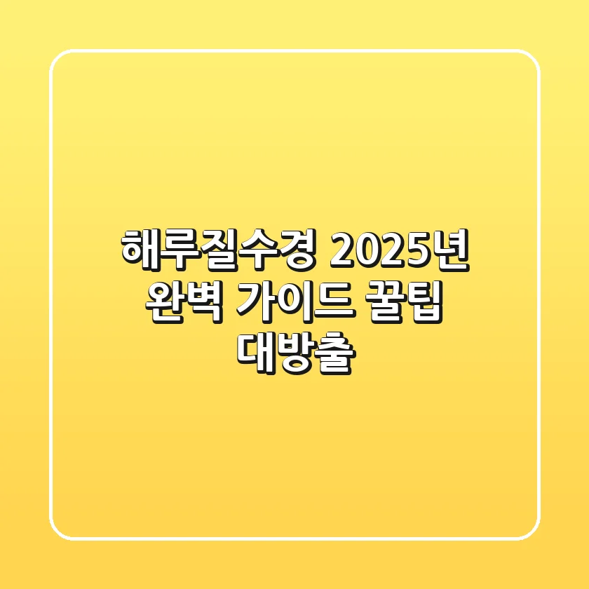 해루질수경: 2025년 완벽 가이드 | 꿀팁 대방출!