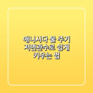 애니시다 물 주기? 저면관수로 쉽게 키우는 법!