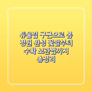 튜울립 구근으로 봄 정원 완성! 꽃말부터 수확, 보관법까지 총정리