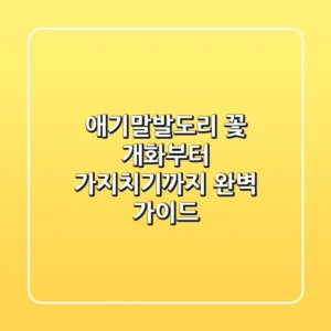 애기말발도리 꽃, 개화부터 가지치기까지 완벽 가이드