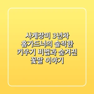 사계장미, 3년차 홈가드너의 솔직한 키우기 비법과 숨겨진 꽃말 이야기