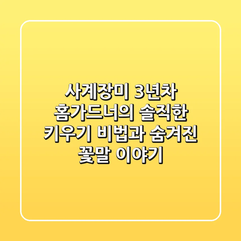 사계장미, 3년차 홈가드너의 솔직한 키우기 비법과 숨겨진 꽃말 이야기