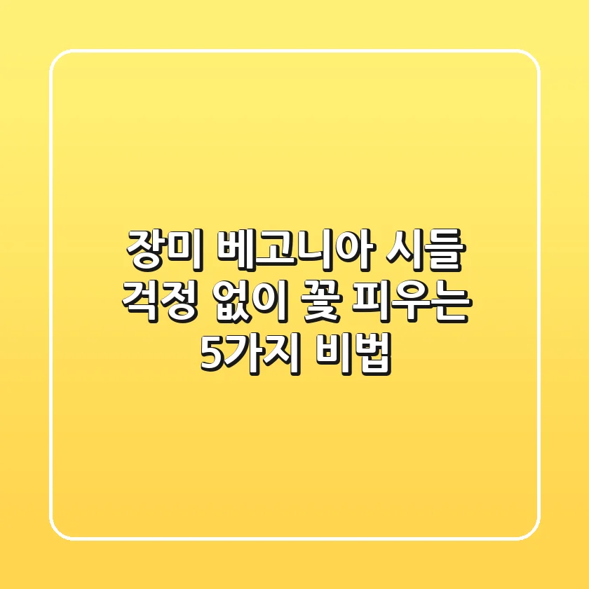 장미 베고니아, 시들 걱정 없이 꽃 피우는 5가지 비법