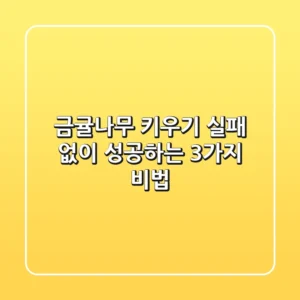 금귤나무 키우기 실패 없이 성공하는 3가지 비법