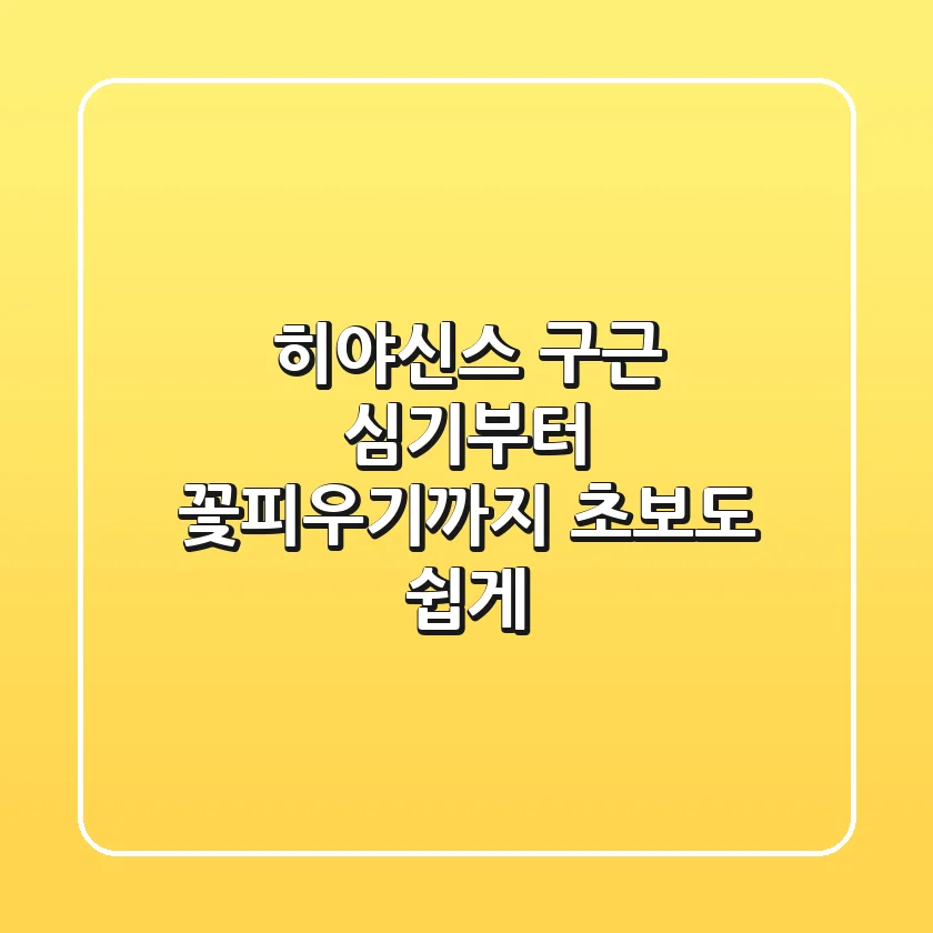 히야신스 구근 심기부터 꽃피우기까지! 초보도 쉽게