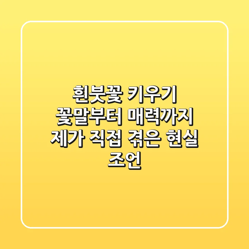 흰붓꽃 키우기, 꽃말부터 매력까지: 제가 직접 겪은 현실 조언