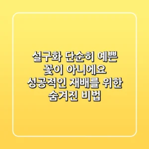 설구화, 단순히 예쁜 꽃이 아니에요! 성공적인 재배를 위한 숨겨진 비법