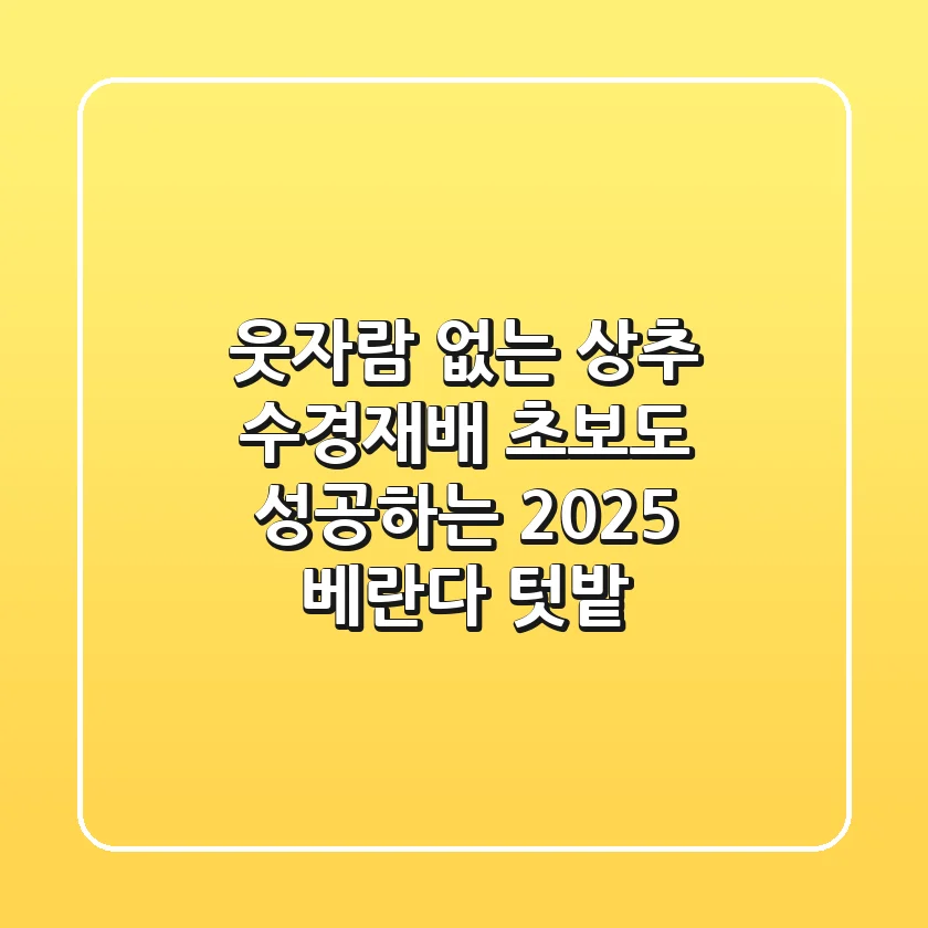 웃자람 없는 상추 수경재배, 초보도 성공하는 2025 베란다 텃밭