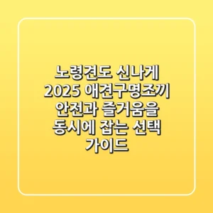 노령견도 신나게? 2025 애견구명조끼, 안전과 즐거움을 동시에 잡는 선택 가이드