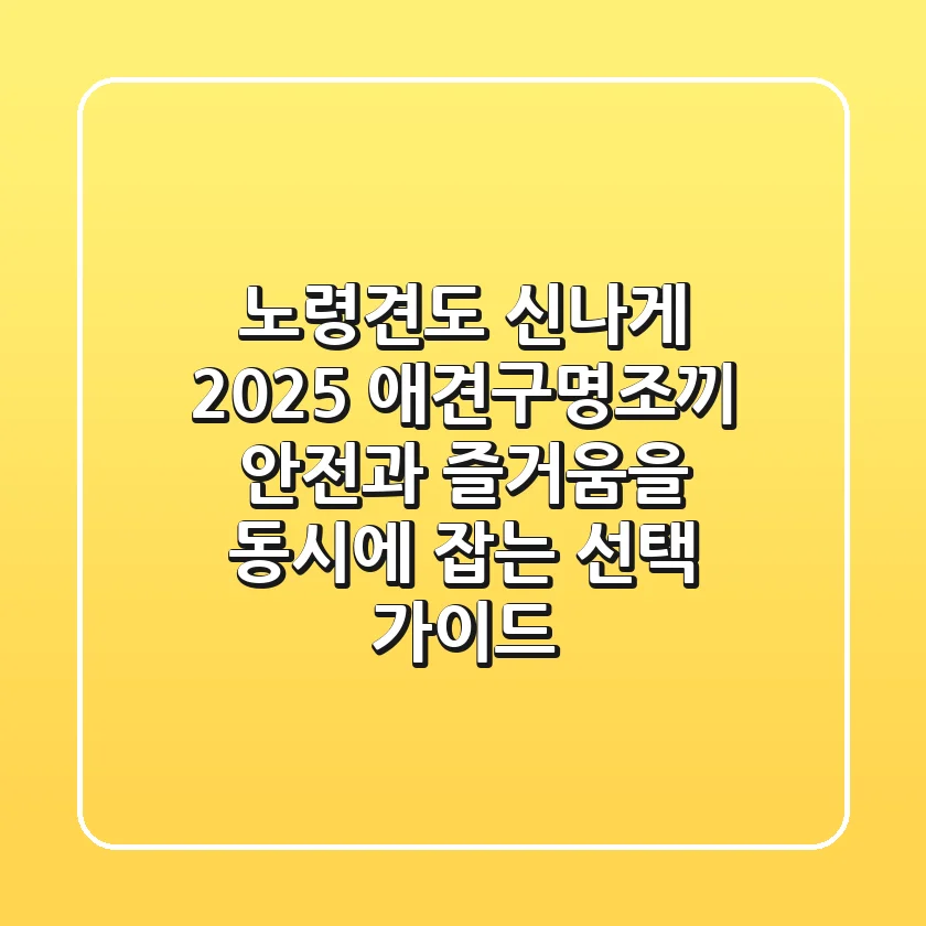 노령견도 신나게? 2025 애견구명조끼, 안전과 즐거움을 동시에 잡는 선택 가이드