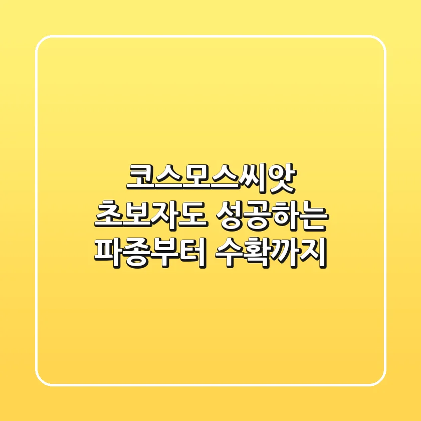 코스모스씨앗, 초보자도 성공하는 파종부터 수확까지