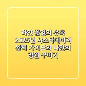 하얀 꽃잎의 유혹: 2025년 샤스타데이지 완벽 가이드와 나만의 정원 꾸미기