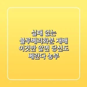 실패 없는 블루베리화분 재배, 이것만 알면 당신도 베란다 농부!
