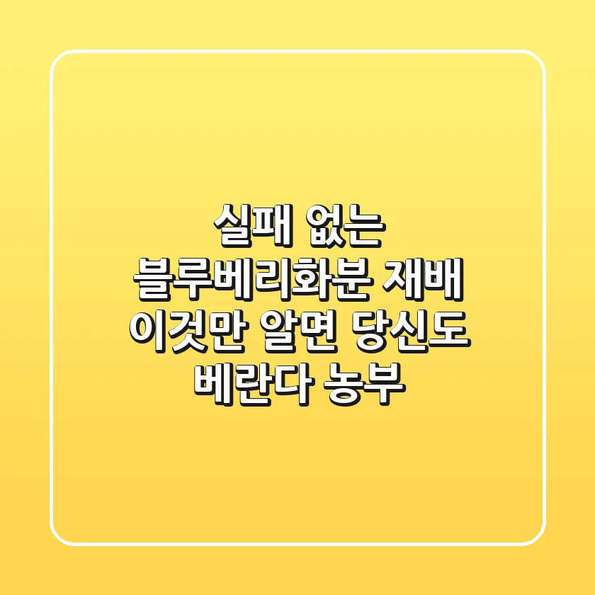실패 없는 블루베리화분 재배, 이것만 알면 당신도 베란다 농부!