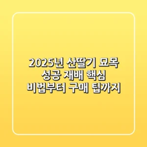 2025년 산딸기 묘목, 성공 재배 핵심 비법부터 구매 팁까지