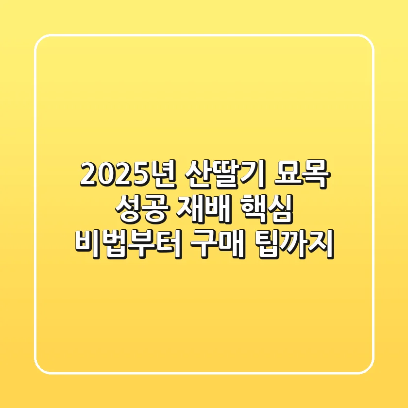 2025년 산딸기 묘목, 성공 재배 핵심 비법부터 구매 팁까지