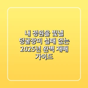 내 정원을 빛낼 덩굴장미, 실패 없는 2025년 완벽 재배 가이드