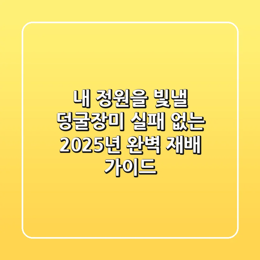 내 정원을 빛낼 덩굴장미, 실패 없는 2025년 완벽 재배 가이드