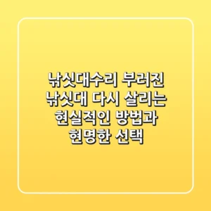 낚싯대수리, 부러진 낚싯대 다시 살리는 현실적인 방법과 현명한 선택