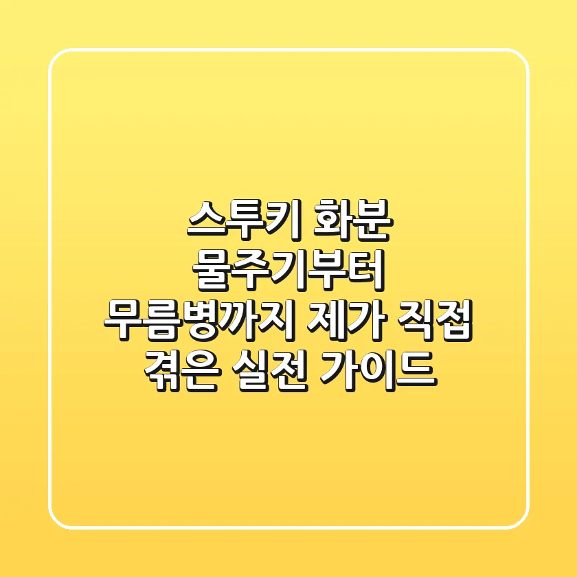 스투키 화분, 물주기부터 무름병까지! 제가 직접 겪은 실전 가이드