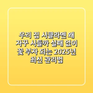우리 집 시클라멘, 왜 자꾸 시들까? 실패 없이 꽃 부자 되는 2025년 최신 관리법