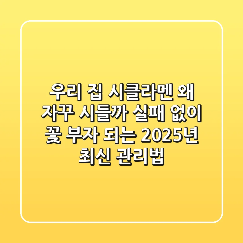 우리 집 시클라멘, 왜 자꾸 시들까? 실패 없이 꽃 부자 되는 2025년 최신 관리법