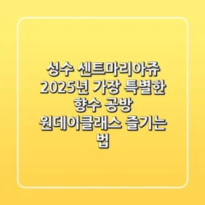성수 센트마리아쥬, 2025년 가장 특별한 향수 공방 원데이클래스 즐기는 법