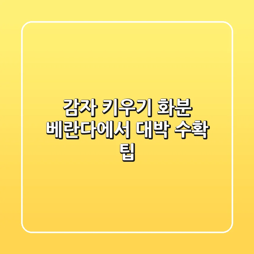 감자 키우기 화분: 베란다에서 대박 수확 팁!