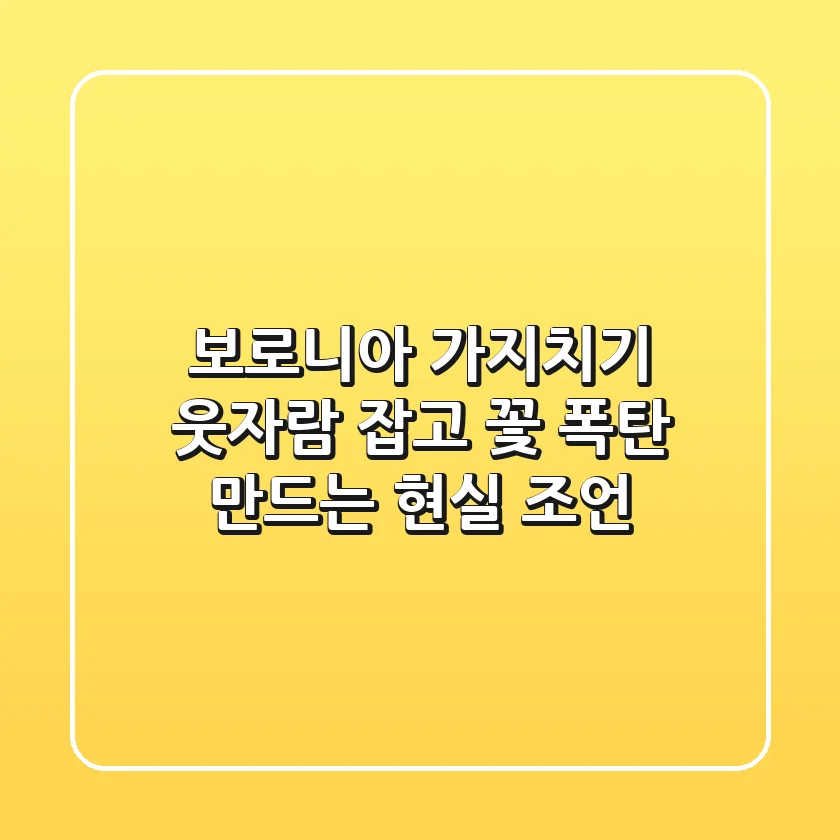 보로니아 가지치기: 웃자람 잡고 꽃 폭탄 만드는 현실 조언