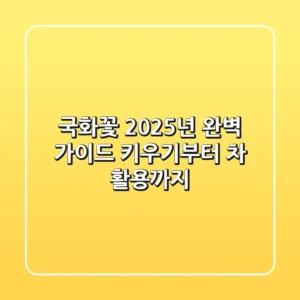국화꽃, 2025년 완벽 가이드: 키우기부터 차 활용까지