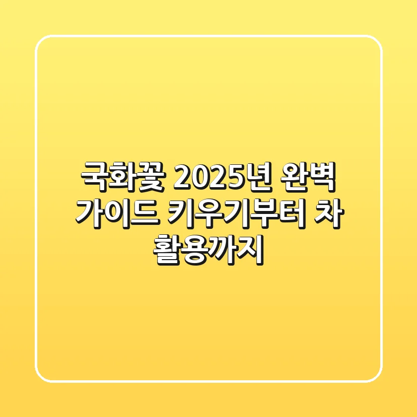 국화꽃, 2025년 완벽 가이드: 키우기부터 차 활용까지