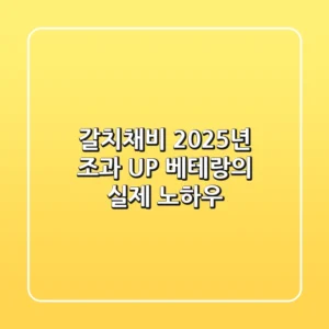 갈치채비, 2025년 조과 UP! 베테랑의 실제 노하우