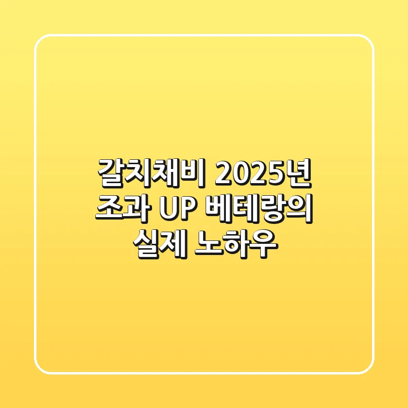 갈치채비, 2025년 조과 UP! 베테랑의 실제 노하우