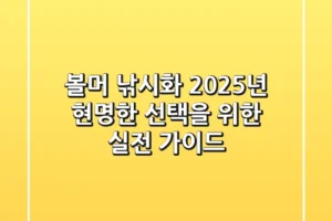 볼머 낚시화, 2025년 현명한 선택을 위한 실전 가이드