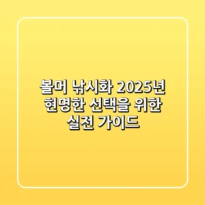 볼머 낚시화, 2025년 현명한 선택을 위한 실전 가이드