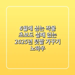 6월에 심는 작물, 초보도 실패 없는 2025년 텃밭 가꾸기 노하우
