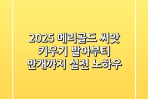 2025 메리골드 씨앗 키우기, 발아부터 만개까지 실전 노하우