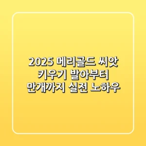 2025 메리골드 씨앗 키우기, 발아부터 만개까지 실전 노하우