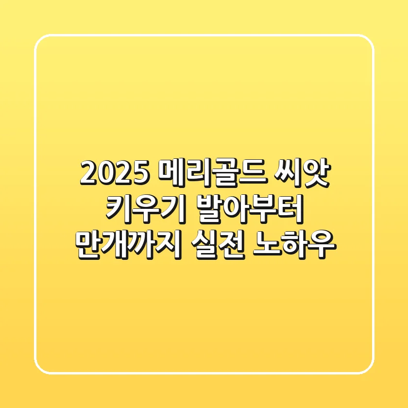 2025 메리골드 씨앗 키우기, 발아부터 만개까지 실전 노하우