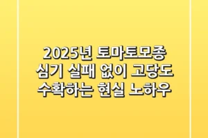 2025년 토마토모종 심기, 실패 없이 고당도 수확하는 현실 노하우