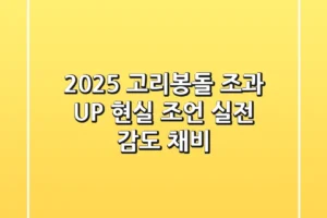 2025 고리봉돌, 조과 UP 현실 조언 (실전 감도 채비)