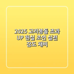 2025 고리봉돌, 조과 UP 현실 조언 (실전 감도 채비)