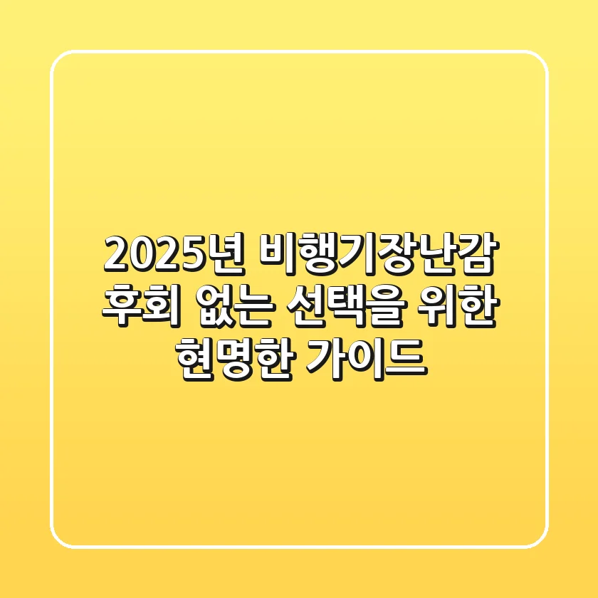 2025년 비행기장난감, 후회 없는 선택을 위한 현명한 가이드