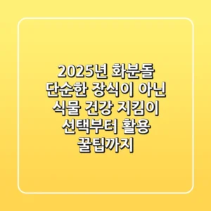 2025년 화분돌, 단순한 장식이 아닌 식물 건강 지킴이: 선택부터 활용 꿀팁까지!