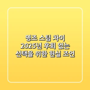 명조 스팀 차이, 2025년 후회 없는 선택을 위한 현실 조언