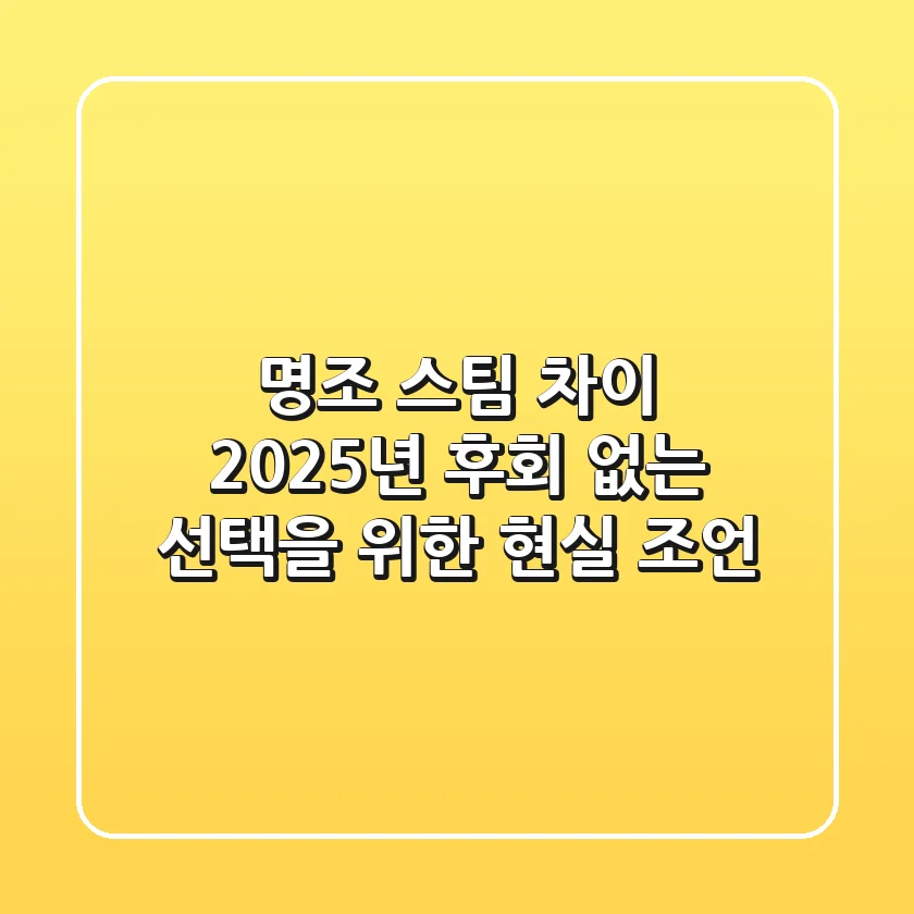 명조 스팀 차이, 2025년 후회 없는 선택을 위한 현실 조언