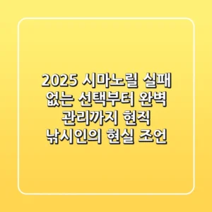 2025 시마노릴: 실패 없는 선택부터 완벽 관리까지, 현직 낚시인의 현실 조언
