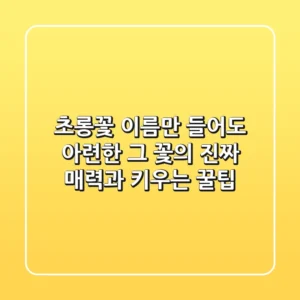 초롱꽃, 이름만 들어도 아련한 그 꽃의 진짜 매력과 키우는 꿀팁